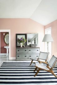 article image - 